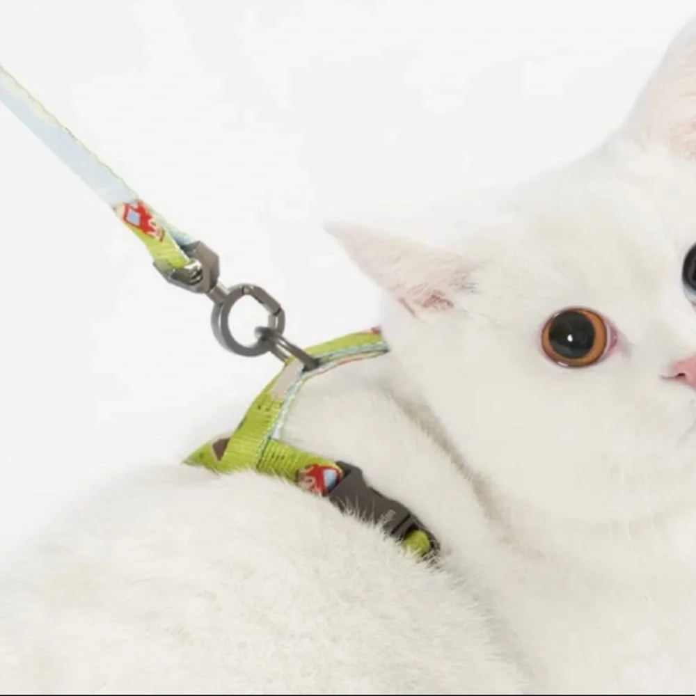 Pidan Cat Harness and Leash Set